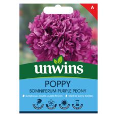 5051618036115 1 Poppy Purple Peony Seeds.jpg